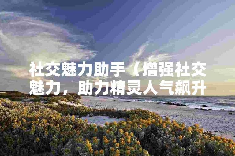 社交魅力助手（增强社交魅力，助力精灵人气飙升指南）