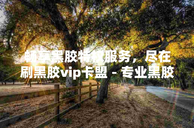 畅享黑胶特权服务，尽在刷黑胶vip卡盟 - 专业黑胶代刷网。