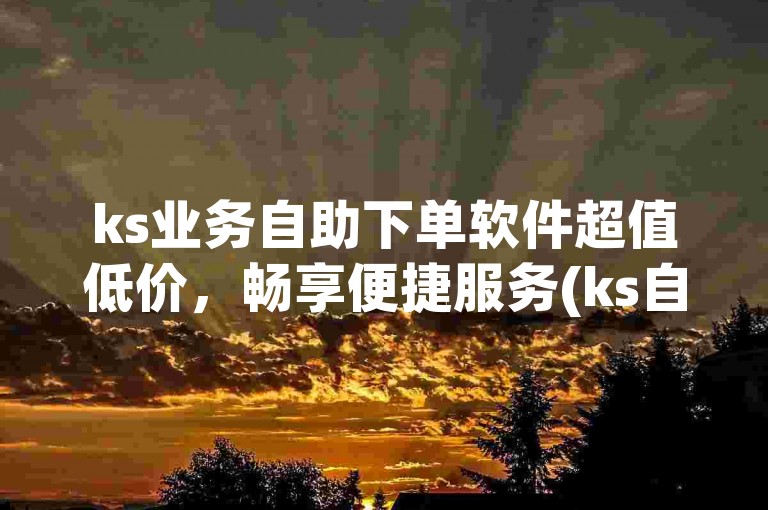 ks业务自助下单软件超值低价，畅享便捷服务(ks自助下单软件特惠之选，轻松开启业务)