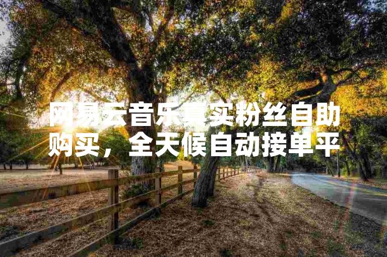 网易云音乐真实粉丝自助购买，全天候自动接单平台 - 快手业务24小时特惠下单 - 快手点赞服务即时响应