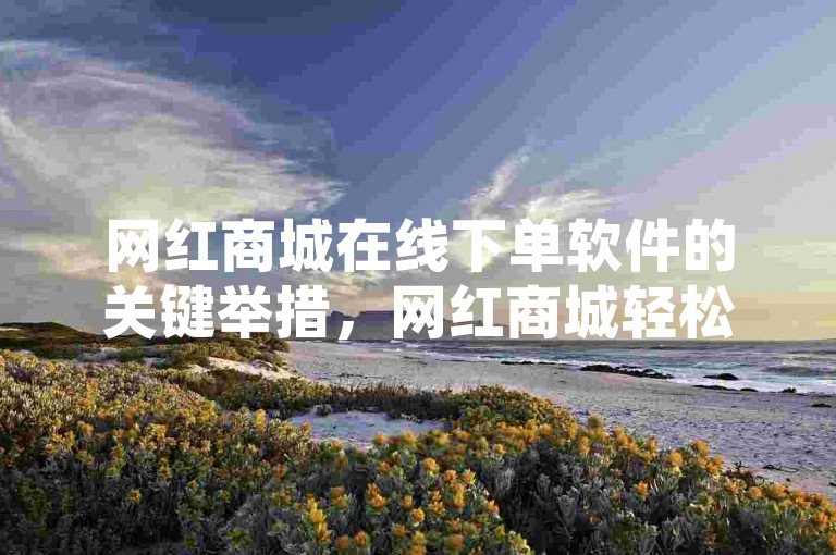 网红商城在线下单软件的关键举措，网红商城轻松购，一键操作超便捷！新手福音！