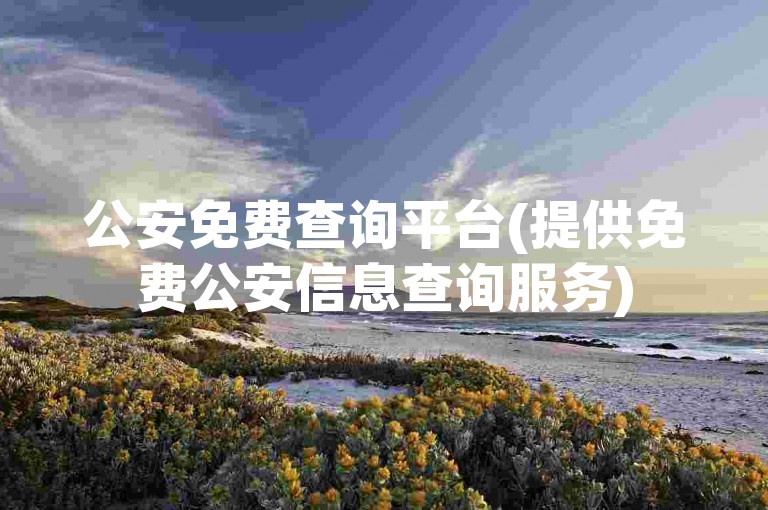 公安免费查询平台(提供免费公安信息查询服务)