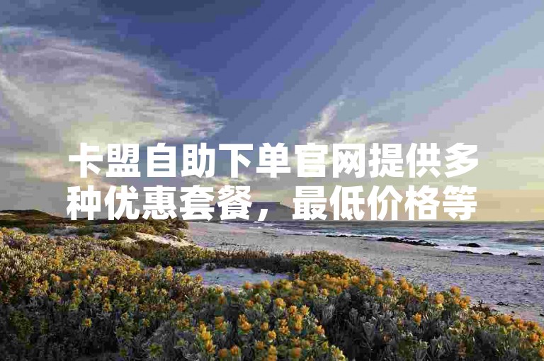 卡盟自助下单官网提供多种优惠套餐，最低价格等你来享！