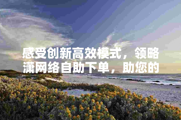 感受创新高效模式，领略潇网络自助下单，助您的网络事务便捷处理，瞬间提高效能！