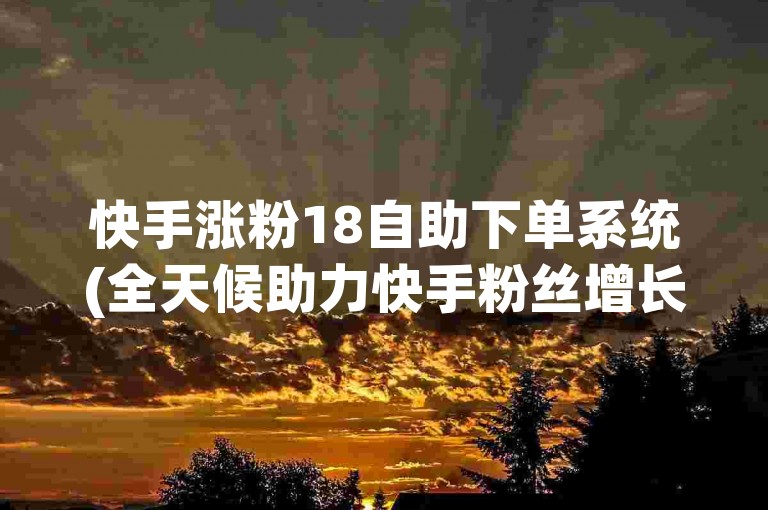 快手涨粉18自助下单系统(全天候助力快手粉丝增长的便捷服务)