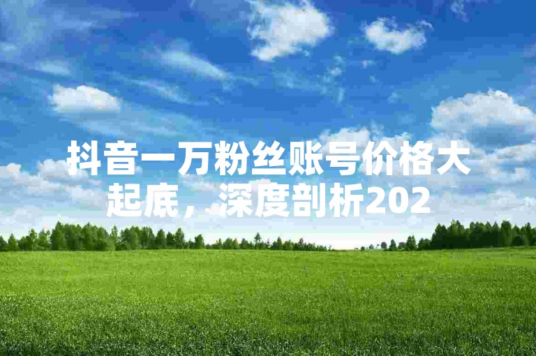 抖音一万粉丝账号价格大起底，深度剖析2025年抖音10,000粉丝账号的价值评判要点！