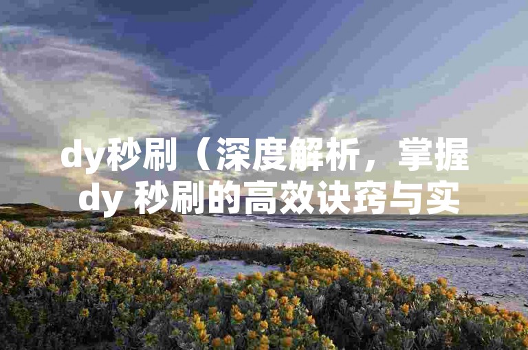 dy秒刷（深度解析，掌握 dy 秒刷的高效诀窍与实用技巧）