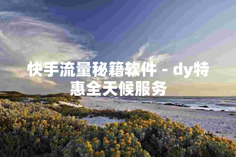 快手流量秘籍软件 - dy特惠全天候服务