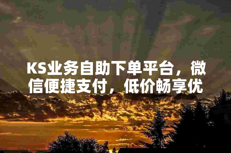 KS业务自助下单平台，微信便捷支付，低价畅享优质服务。