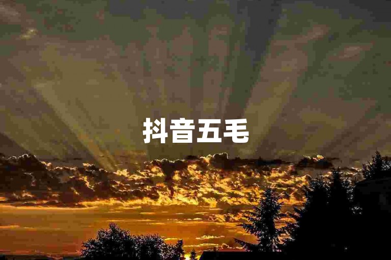 抖音五毛50赞链接，限时特惠，助力流量飙升的推广好帮手