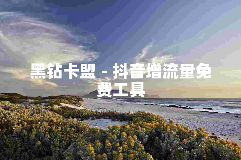 黑钻卡盟 - 抖音增流量免费工具
