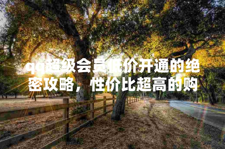 qq超级会员低价开通的绝密攻略，性价比超高的购买途径分享！2025不容错过