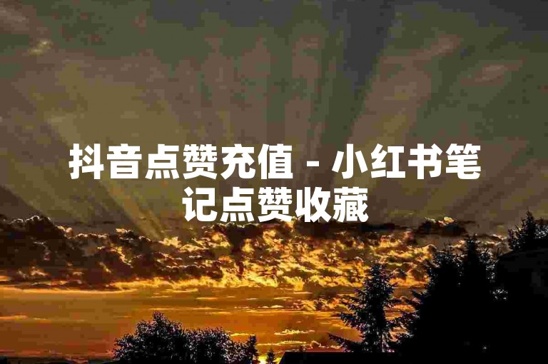 抖音点赞充值 - 小红书笔记点赞收藏