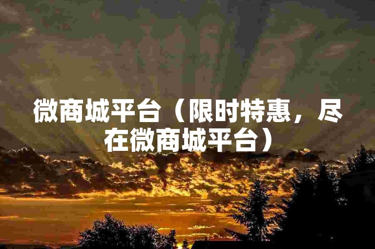 微商城平台（限时特惠，尽在微商城平台）