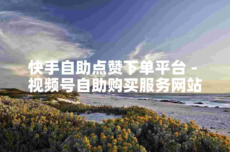 快手自助点赞下单平台 - 视频号自助购买服务网站