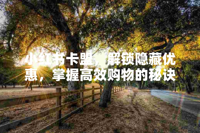 小红书卡盟，解锁隐藏优惠，掌握高效购物的秘诀。