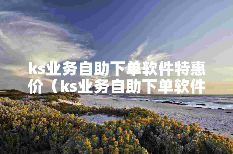 ks业务自助下单软件特惠价（ks业务自助下单软件惊喜优惠价格大公开）