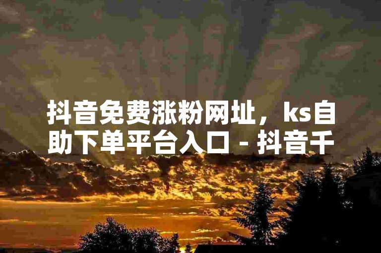 抖音免费涨粉网址，ks自助下单平台入口 - 抖音千赞秒到账 - 作品浏览量提升服务