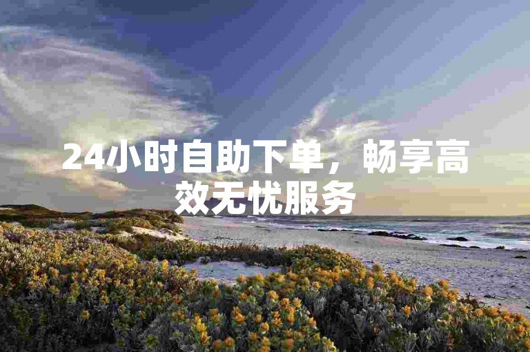 24小时自助下单，畅享高效无忧服务