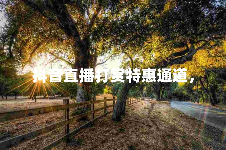 抖音直播打赏特惠通道，5元可获200钻石 - 微信即时自助充值平台 - 淘宝优惠服务