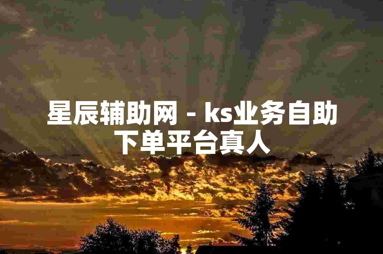 星辰辅助网 - ks业务自助下单平台真人