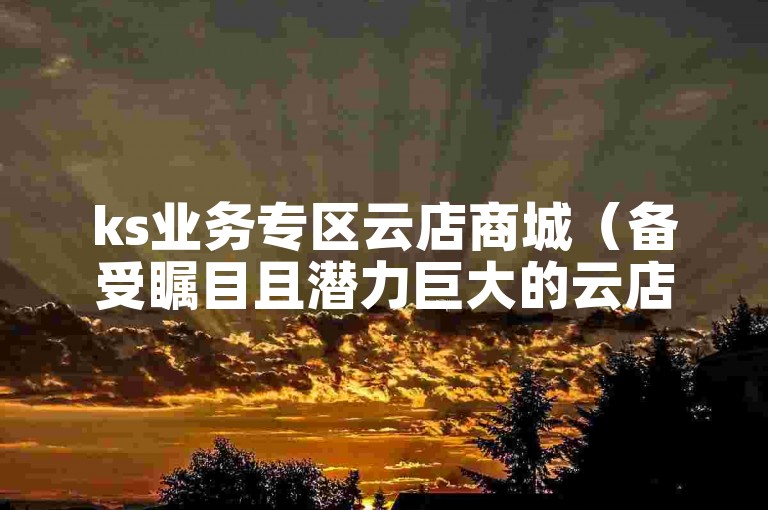 ks业务专区云店商城（备受瞩目且潜力巨大的云店商城平台）