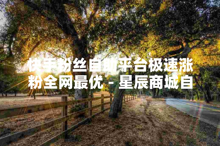 快手粉丝自助平台极速涨粉全网最优 - 星辰商城自助服务通道，评论赞 - 全天候自助选购