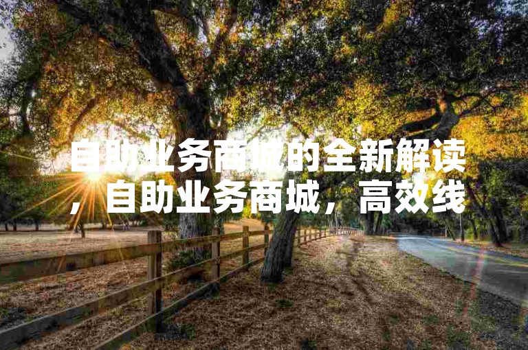 自助业务商城的全新解读，自助业务商城，高效线上购物天地！2024必备