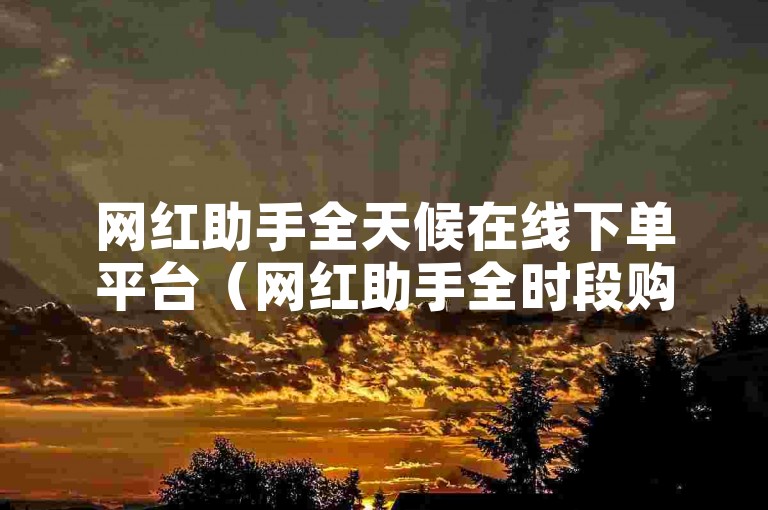 网红助手全天候在线下单平台（网红助手全时段购物平台）