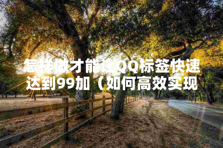 怎样做才能让QQ标签快速达到99加（如何高效实现QQ标签提升至99）