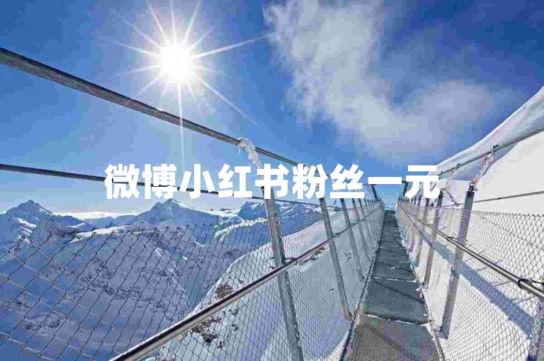 微博小红书粉丝一元500个真粉（微博小红书，1元助你双平台粉丝速涨至五百）