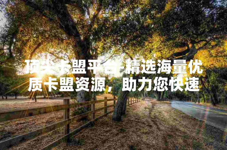 顶尖卡盟平台-精选海量优质卡盟资源，助力您快速提升SEO排名与效果