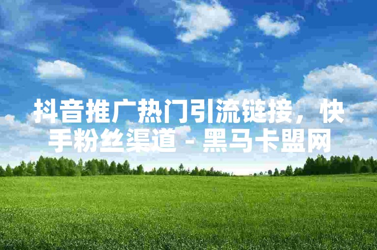 抖音推广热门引流链接，快手粉丝渠道 - 黑马卡盟网 - 抖音免费涨热度的链接