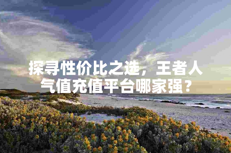 探寻性价比之选，王者人气值充值平台哪家强？