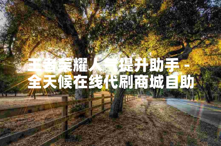 王者荣耀人气提升助手 - 全天候在线代刷商城自助选购平台