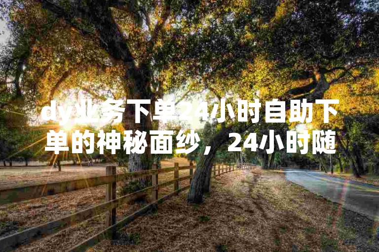 dy业务下单24小时自助下单的神秘面纱，24小时随心自助下单，dy业务轻松选购！2025必备技巧
