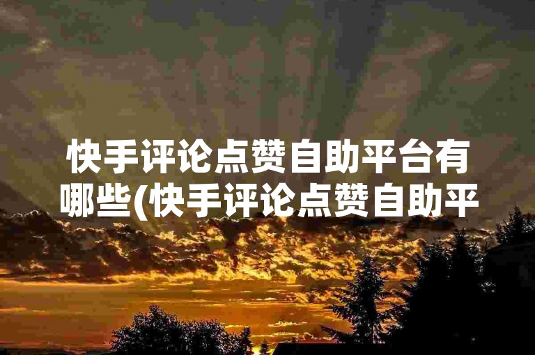 快手评论点赞自助平台有哪些(快手评论点赞自助平台有哪些平台)