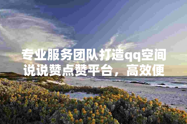 专业服务团队打造qq空间说说赞点赞平台，高效便捷助你快速提升说说点赞量。