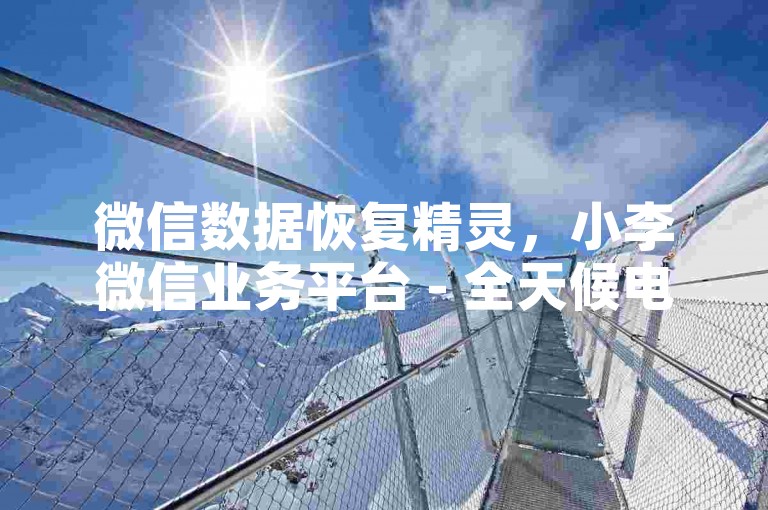 微信数据恢复精灵，小李微信业务平台 - 全天候电商工具自动选购中心 - 朋友圈动态点赞微信支付