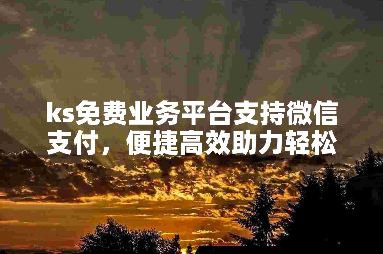 ks免费业务平台支持微信支付，便捷高效助力轻松体验相关服务。