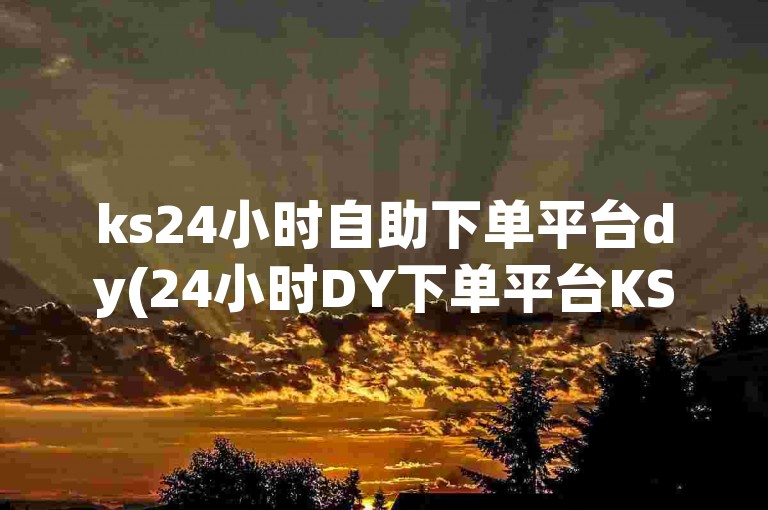 ks24小时自助下单平台dy(24小时DY下单平台KS升级)