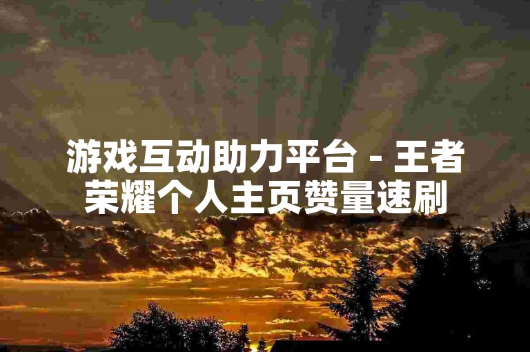游戏互动助力平台 - 王者荣耀个人主页赞量速刷