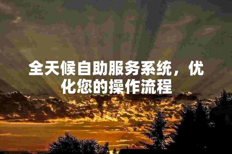 全天候自助服务系统，优化您的操作流程