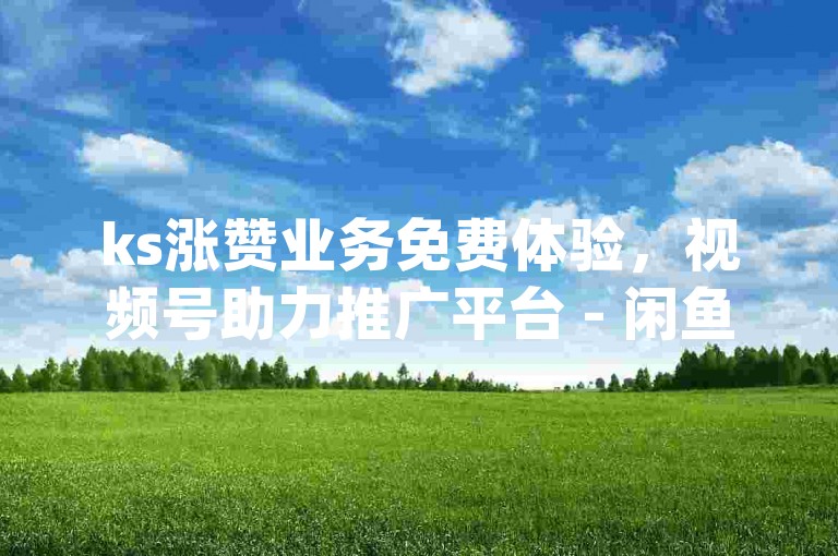 ks涨赞业务免费体验，视频号助力推广平台 - 闲鱼补单网 - dy业务一键自助下单便捷通道