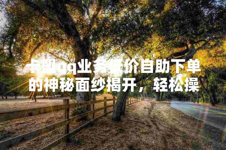 卡盟qq业务低价自助下单的神秘面纱揭开，轻松操作，畅享卡盟低价qq业务服务！2025必知