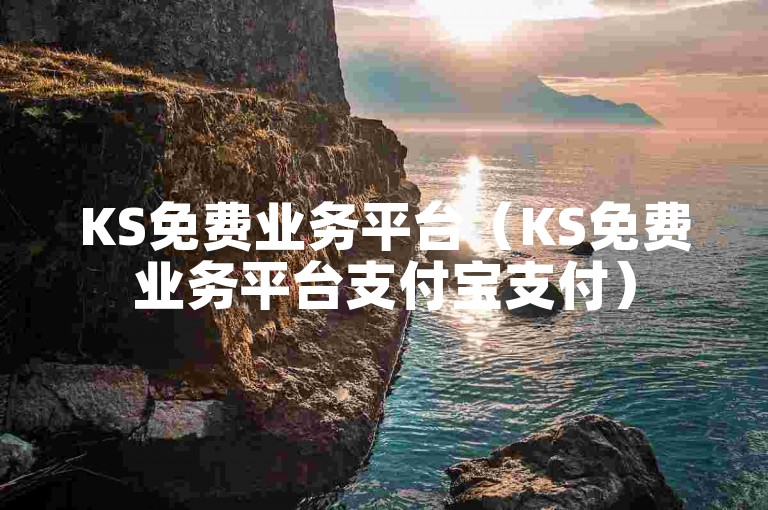 KS免费业务平台（KS免费业务平台支付宝支付）