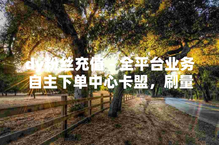 dy粉丝充值 - 全平台业务自主下单中心卡盟，刷量自助下单 - 卡盟代刷服务
