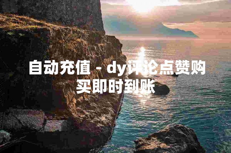 自动充值 - dy评论点赞购买即时到账