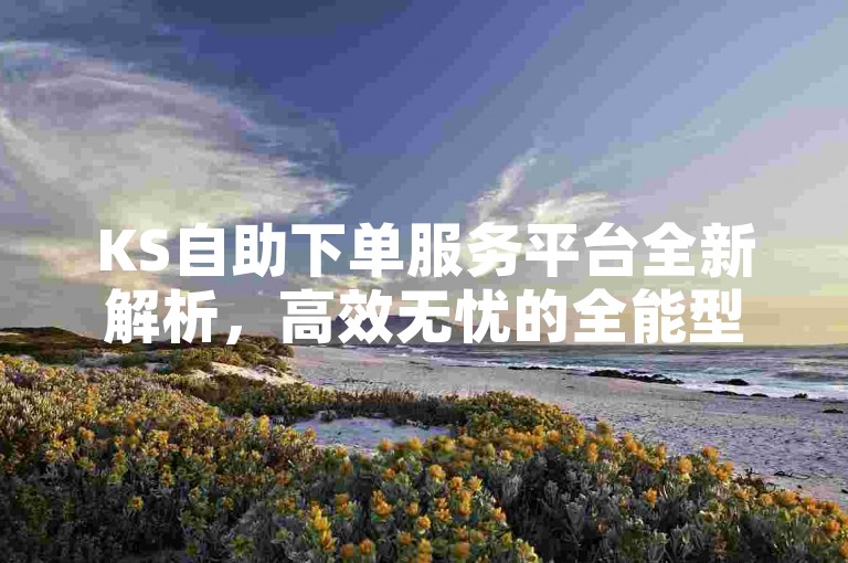 KS自助下单服务平台全新解析，高效无忧的全能型服务体验！2024必备技能