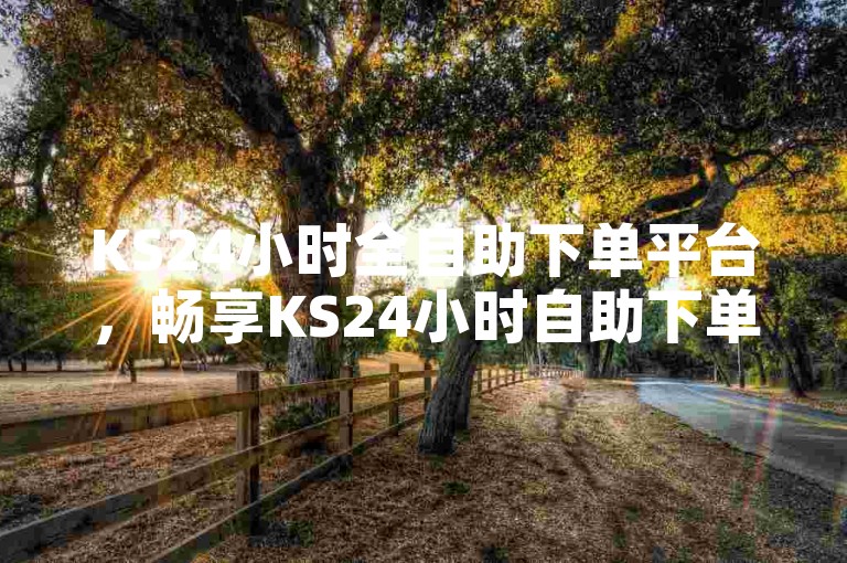 KS24小时全自助下单平台，畅享KS24小时自助下单平台的便捷与高效？